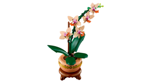 LEGO® 10343 Botanicals Mini Orchid