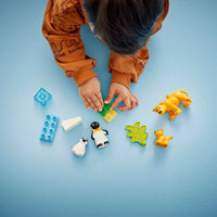 LEGO® DUPLO® 10442 Wild Animal Families: Penguins and Lions