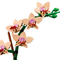LEGO® 10343 Botanicals Mini Orchid