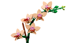 LEGO® 10343 Botanicals Mini Orchid