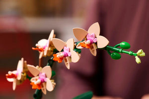 LEGO® 10343 Botanicals Mini Orchid