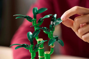 LEGO® 10344 Botanicals Lucky Bamboo