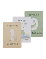 Living Textiles Milestone Cards Assorted
