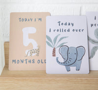 Living Textiles Wild Safari Milestone Cards
