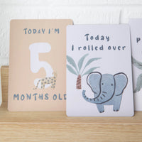 Living Textiles Wild Safari Milestone Cards