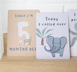 Living Textiles Wild Safari Milestone Cards