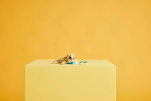 LEGO® Creator 31162 Cute Bunny