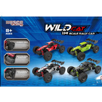 Wildcat Metal Buggy 1:14 scale