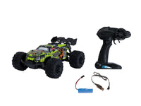 RC Truggy Power Dragon Car
