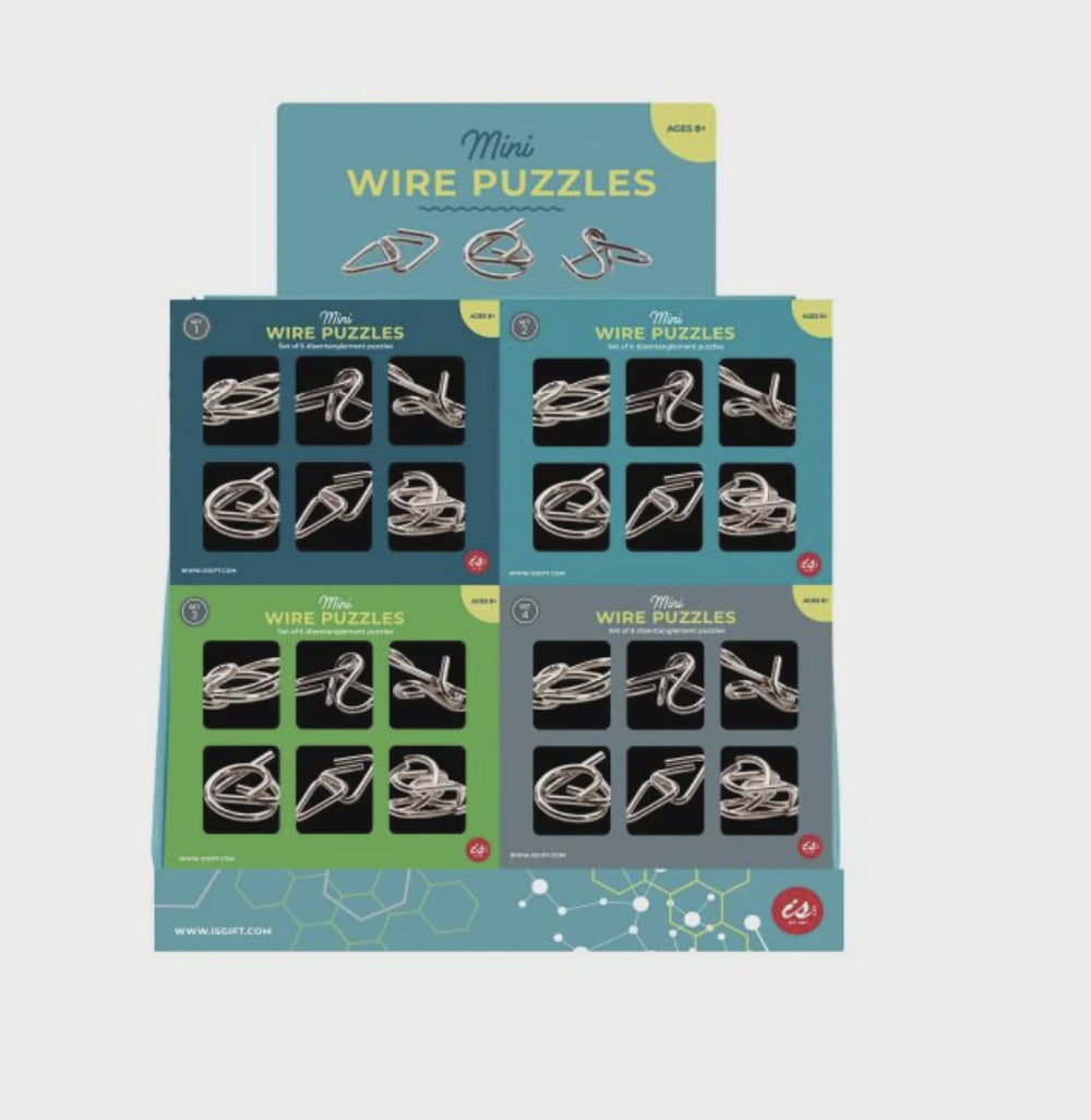 Mini Wire Puzzles Set of 6 Assorted