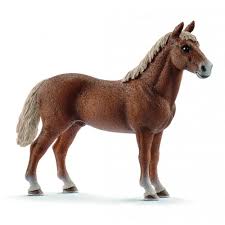 Schleich Morgan Horse Stallion 13869
