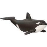Schleich 14836 Baby Killer Whale