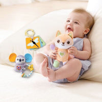 Vtech Fox & Friends Gift Set