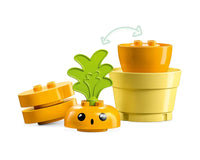 LEGO® DUPLO® 10981 Growing Carrot
