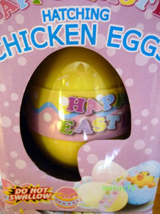 Hatching Chicken Eggs