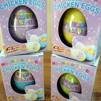 Hatching Chicken Eggs