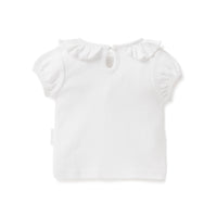 Aster & Oak White Pointelle Ruffle Top