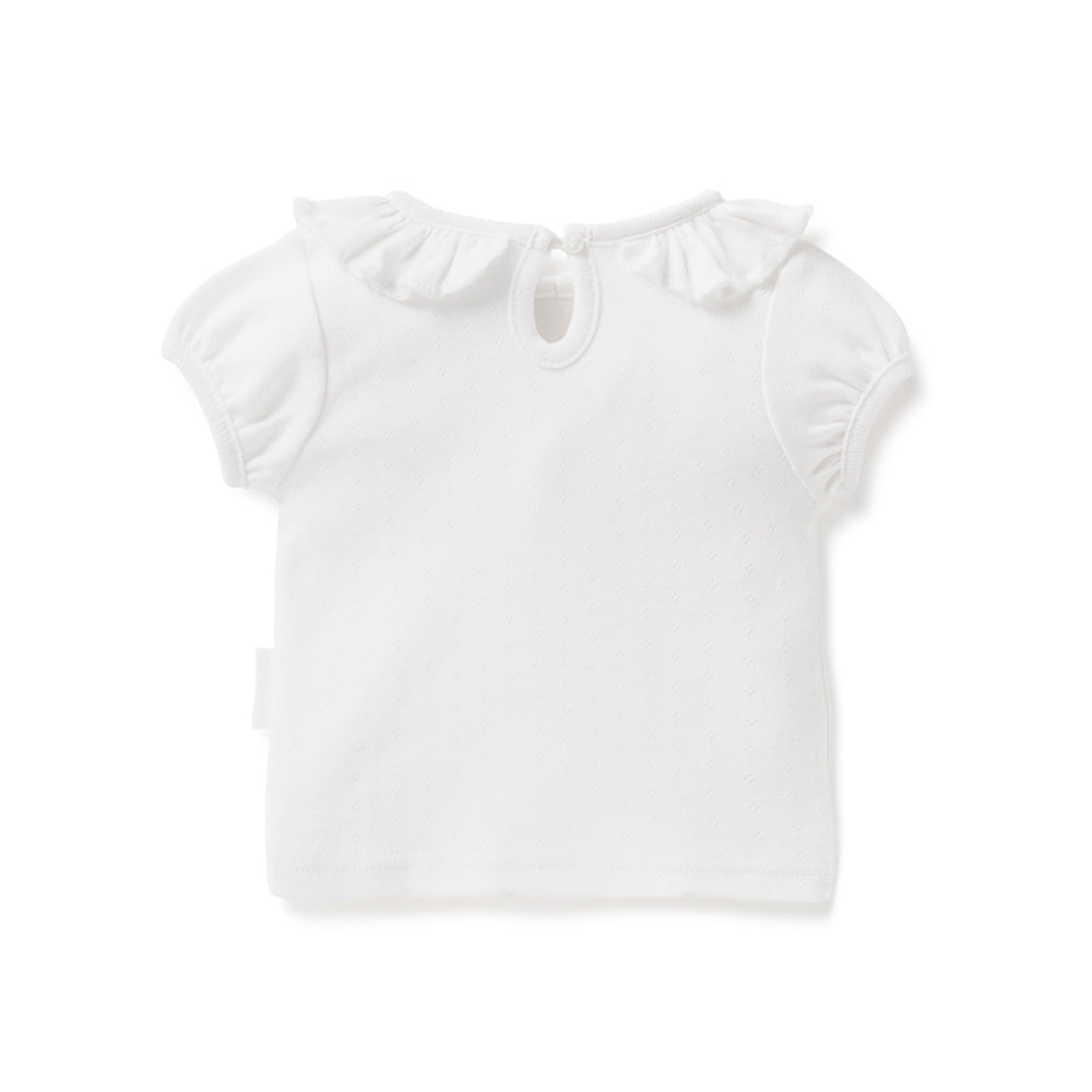 Aster & Oak White Pointelle Ruffle Top