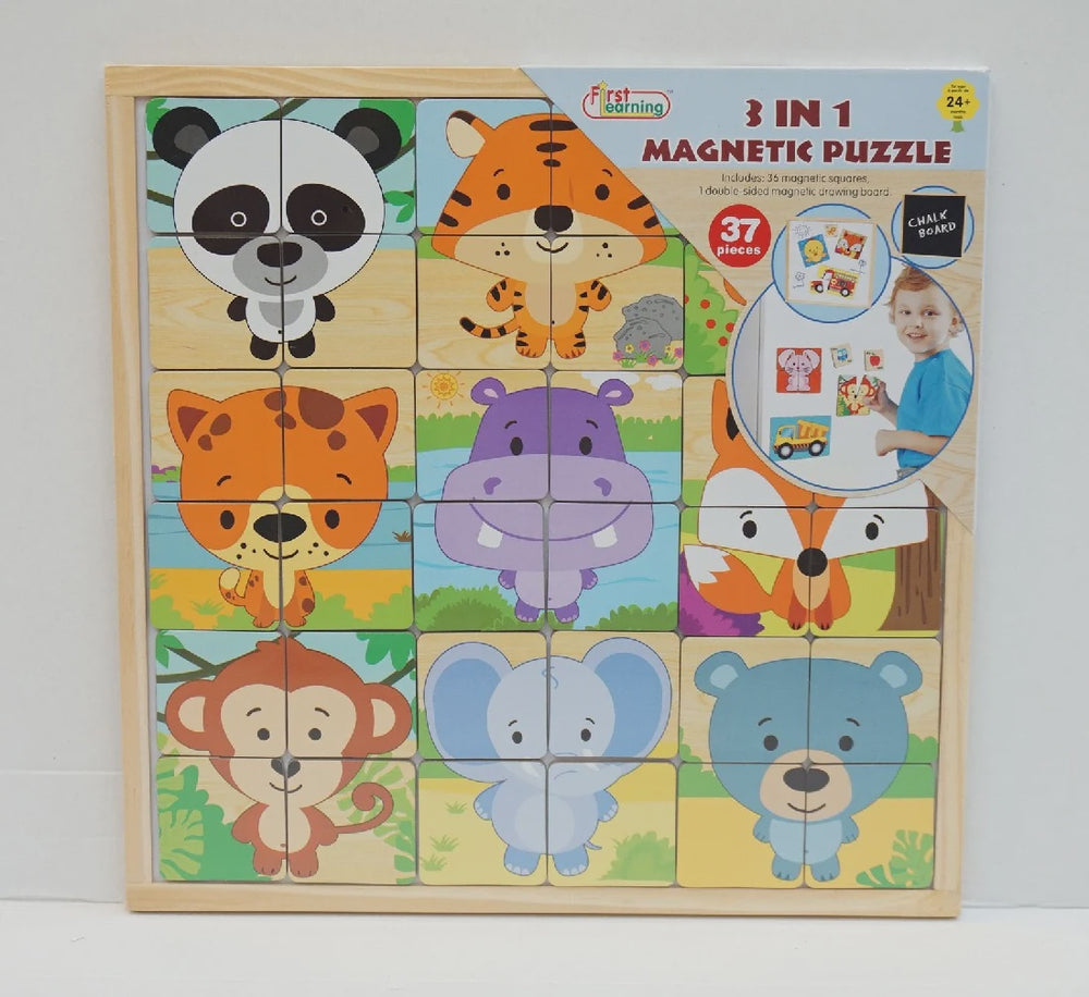 3 in 1 Magnetic Puzzle