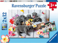 RAVENSBURGER 2x12 Puzzle Cute Little Furballs 056361
