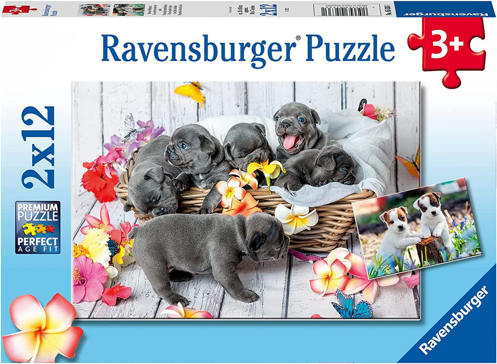 RAVENSBURGER 2x12 Puzzle Cute Little Furballs 056361