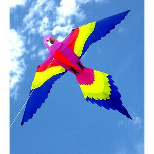 Kite Lorikeet Single String