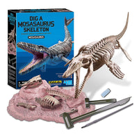 Dig a Mosasaurus Skeleton