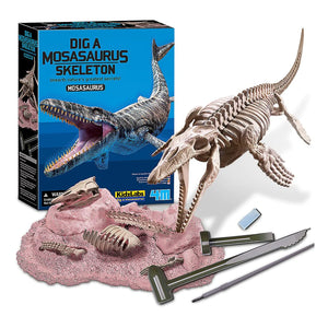 Dig a Mosasaurus Skeleton