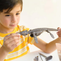 Dig a Mosasaurus Skeleton
